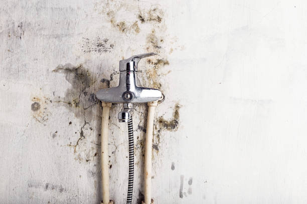Best Water Damage Restoration  in Graton, CA